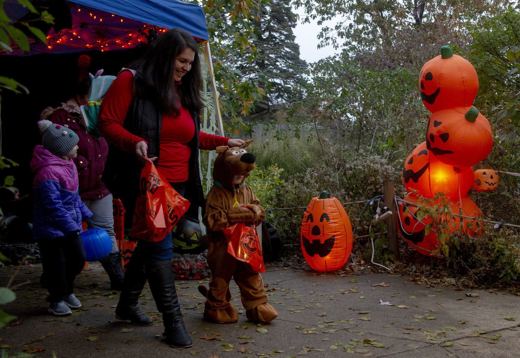 Boo at the Zoo, 10.29